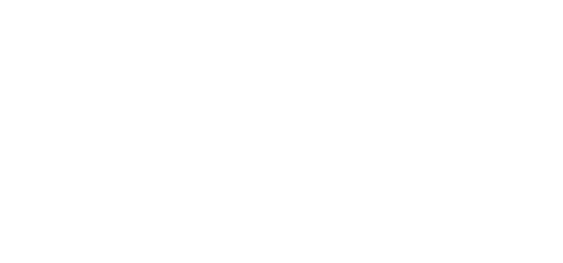C-LAB PROFESSIONAL 292