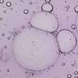 Acide Salicylique
